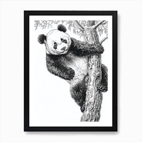 Giant Panda Cub Climbing A Tree Ink Illustration 2 Art Print