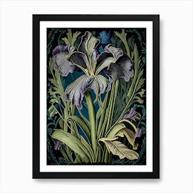 Iris Wildflower Vintage Botanical Art Print