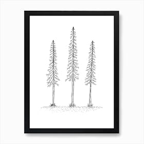 Trio Of Trees Fine Line Art Print