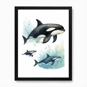 Orca Whale Pod Illustration 2 Art Print