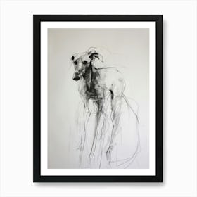 Greyhound Dog Charcoal Line 1 Art Print