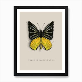 Butterfly No7 Art Print