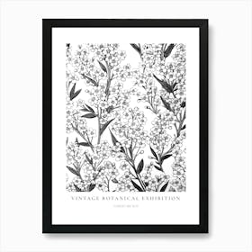 Forget Me Not B&W Vintage Botanical Poster Art Print