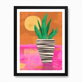 Potted Plant At Sunset Art Print