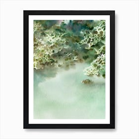 Acropora Spathulata Storybook Watercolour Art Print