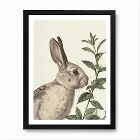 Florida White Blockprint Rabbit Illustration 6 Art Print