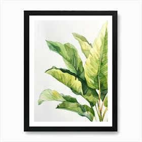 Banana Plant 4 Art Print