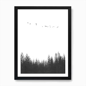 In The Forest Art Print