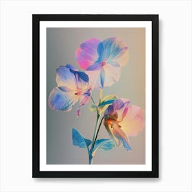 Iridescent Flower Impatiens 1 Art Print