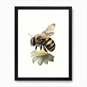 Bumblebee 3 Vintage Art Print