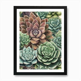 Succulents 2 Art Print