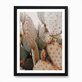 Neutral Cactus Art Print