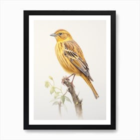 Vintage Bird Drawing Yellowhammer 1 Art Print