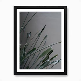 Green plant against a concrete wall Art Print