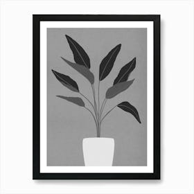 Cactus plant 1 Art Print