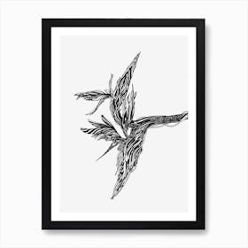 Bird Of Paradise 1 Art Print