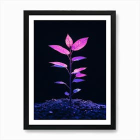 Plant In The Dark 16 Art Print