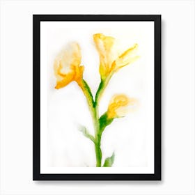 Watercolor Lilies Art Print