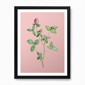 Vintage Pink Clover Botanical on Soft Pink n.0089 Art Print