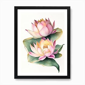 Double Lotus Watercolour Ink Pencil 2 Art Print