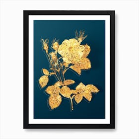 Vintage White Rose of York Botanical in Gold on Teal Blue n.0216 Art Print