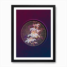 Abstract Single May Rose Mosaic Botanical Illustration n.0203 Art Print