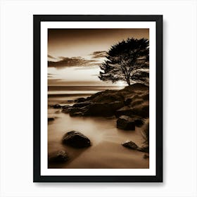 Lone Tree At Sunset 13 Art Print