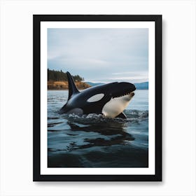 Realistic Photography Of Orca Whale Coming Out Of Ocean 5 Art Print