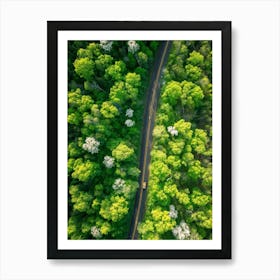 Aerial View Of A Forest Road 4 Art Print