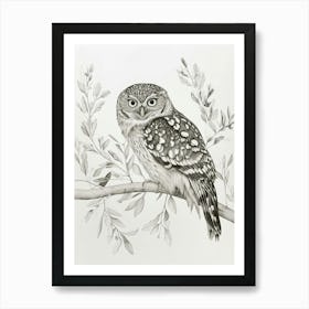 Burmese Fish Owl Drawing 3 Art Print