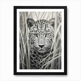 African Leopard Realism Portrait 4 Art Print