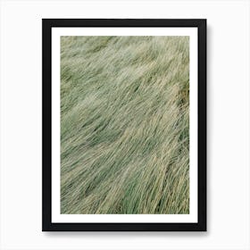 Green Grass Art Print