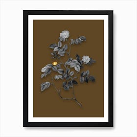 Vintage Sweetbriar Rose Black and White Gold Leaf Floral Art on Coffee Brown n.0287 Art Print