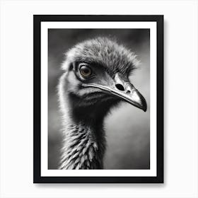 Portrait Of An Ostrich Art Print
