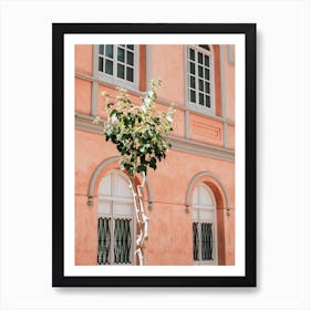 The Green Tree With The Pink Building In Spain Travel Art Print