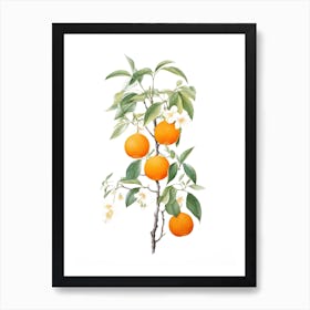 Oranges On A Tree 2 Art Print