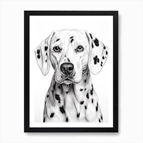 Dalmatian Dog, Line Drawing 2 Art Print