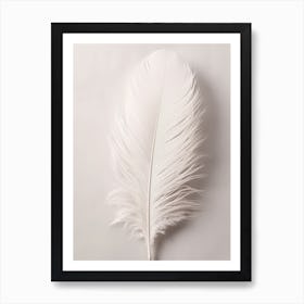 White Feather 2 Art Print