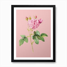 Vintage Pink Agatha Rose Botanical on Soft Pink n.0071 Art Print