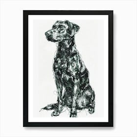 Beauceron Dog Line Sketch  3 Poster