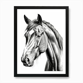 Highly Detailed Pencil Sketch Portrait of Horse with Soulful Eyes 4 Art Print