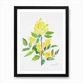 Mahonia2 Art Print