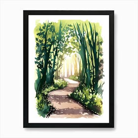 Watercolor Path In The Woods Art Print