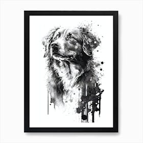 Cute Nova Scotia Ducktolling Retriever Black Ink Portrait Art Print