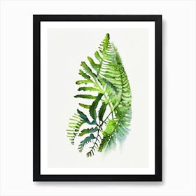 New York Fern Wildflower Watercolour 2 Art Print