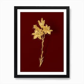 Vintage Madonna Lily Botanical in Gold on Red n.0486 Art Print