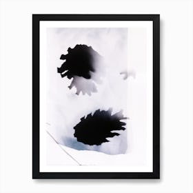 Pine Cones Black And White Botanical Art Print