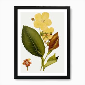 Yellow Flower 3 Art Print