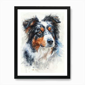 Australian Shepherd Dog Watercolor Painting 8 Art Print