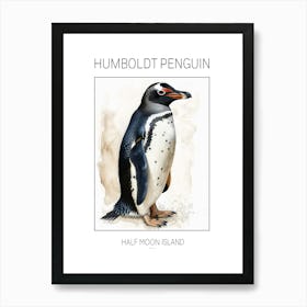 Humboldt Penguin Half Moon Island Watercolour Painting 4 Poster Art Print